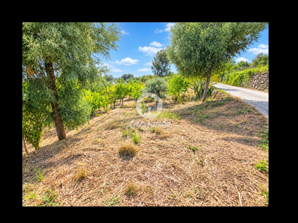 Terreno para Venda em Cervães Foto 1