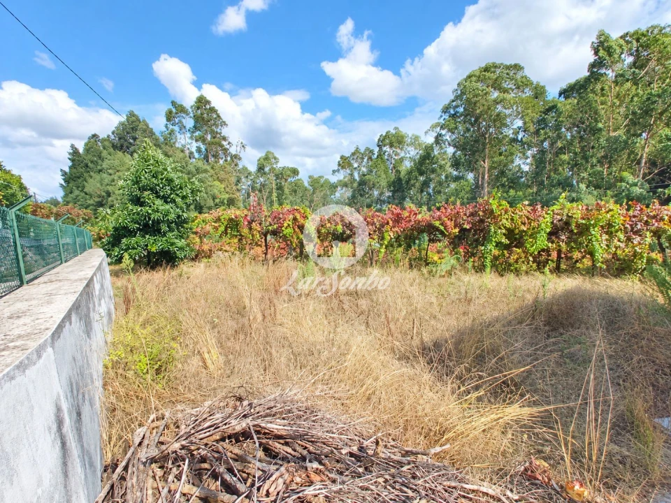 Terreno para Venda em Cervães Foto 3