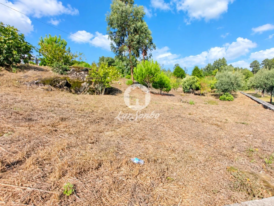 Terreno para Venda em Cervães Foto 4