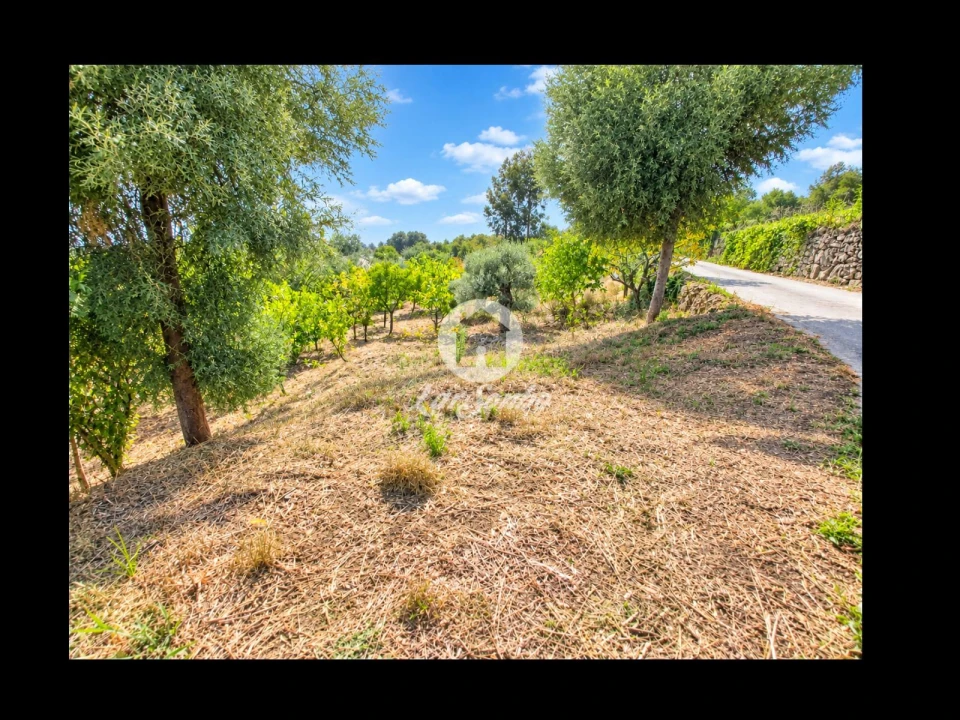 Terreno para Venda em Cervães Foto 9