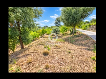 Terreno para Venda em Cervães