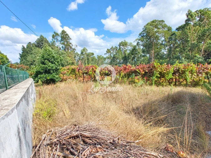 Terreno para Venda em Cervães Foto 7