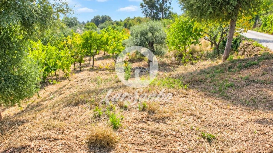 Terreno para Venda em Cervães