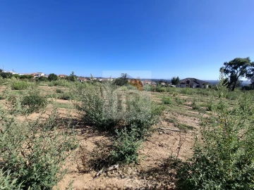 Terreno para Venda em Salir de Matos