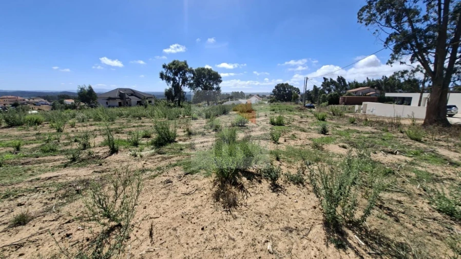 Terreno para Venda em Salir de Matos Foto 7