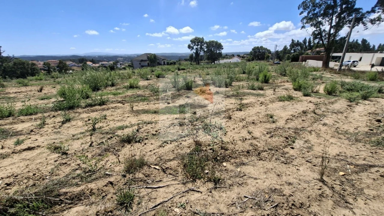 Terreno para Venda em Salir de Matos Foto 15