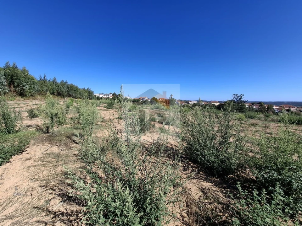 Terreno para Venda em Salir de Matos Foto 2