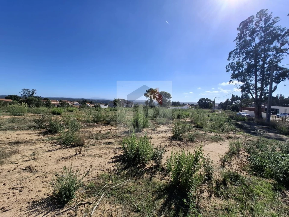 Terreno para Venda em Salir de Matos Foto 4