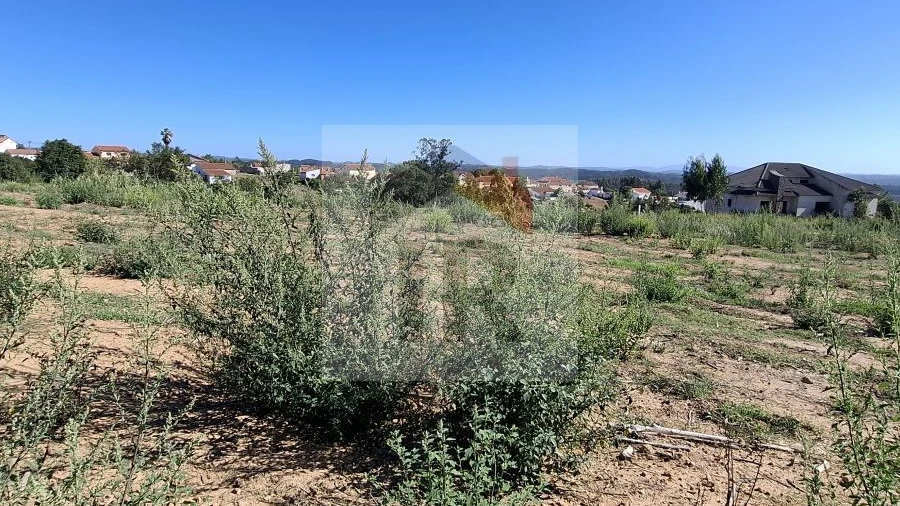 Terreno para Venda em Salir de Matos