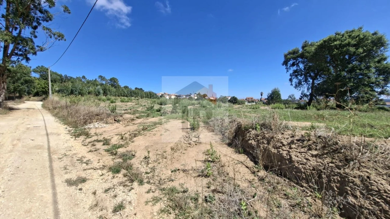 Terreno para Venda em Salir de Matos Foto 10