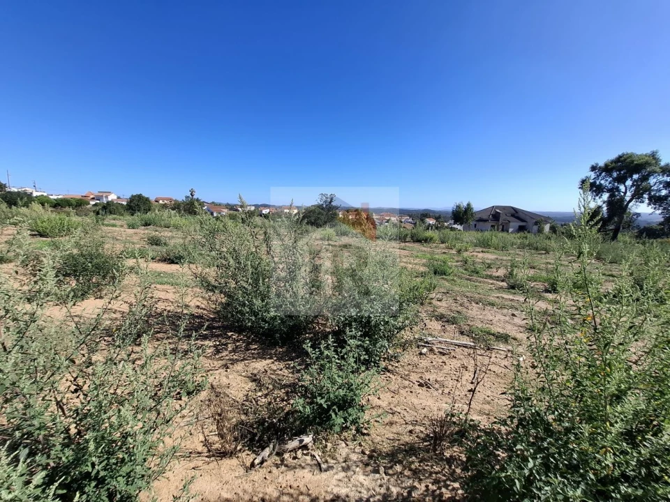 Terreno para Venda em Salir de Matos Foto 1