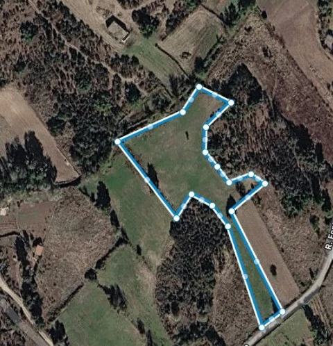 Terreno para Venda em Vale de Anta