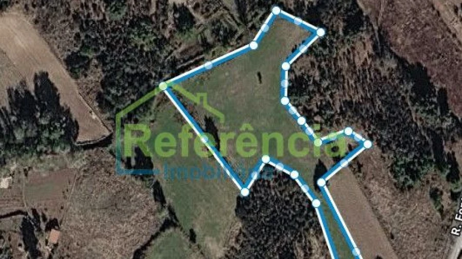 Terreno para Venda em Vale de Anta