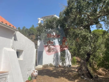 Quinta T1 para Venda em São Francisco da Serra