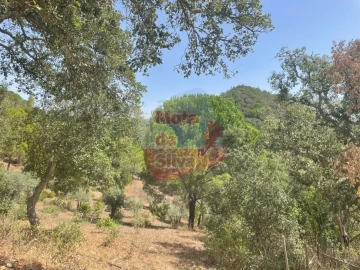 Quinta T1 para Venda em São Francisco da Serra