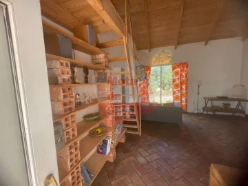 Quinta T1 para Venda em São Francisco da Serra