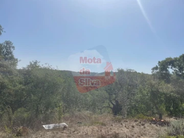 Quinta T1 para Venda em São Francisco da Serra