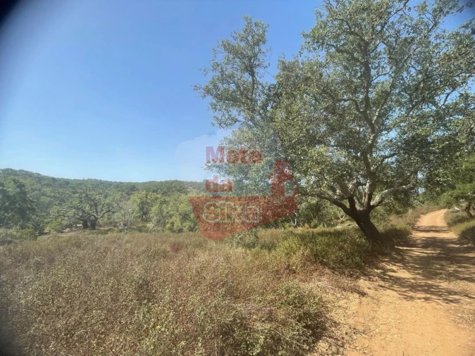 Quinta T1 para Venda em São Francisco da Serra Foto 33
