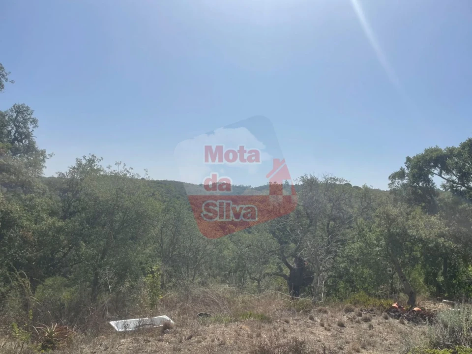 Quinta T1 para Venda em São Francisco da Serra Foto 36