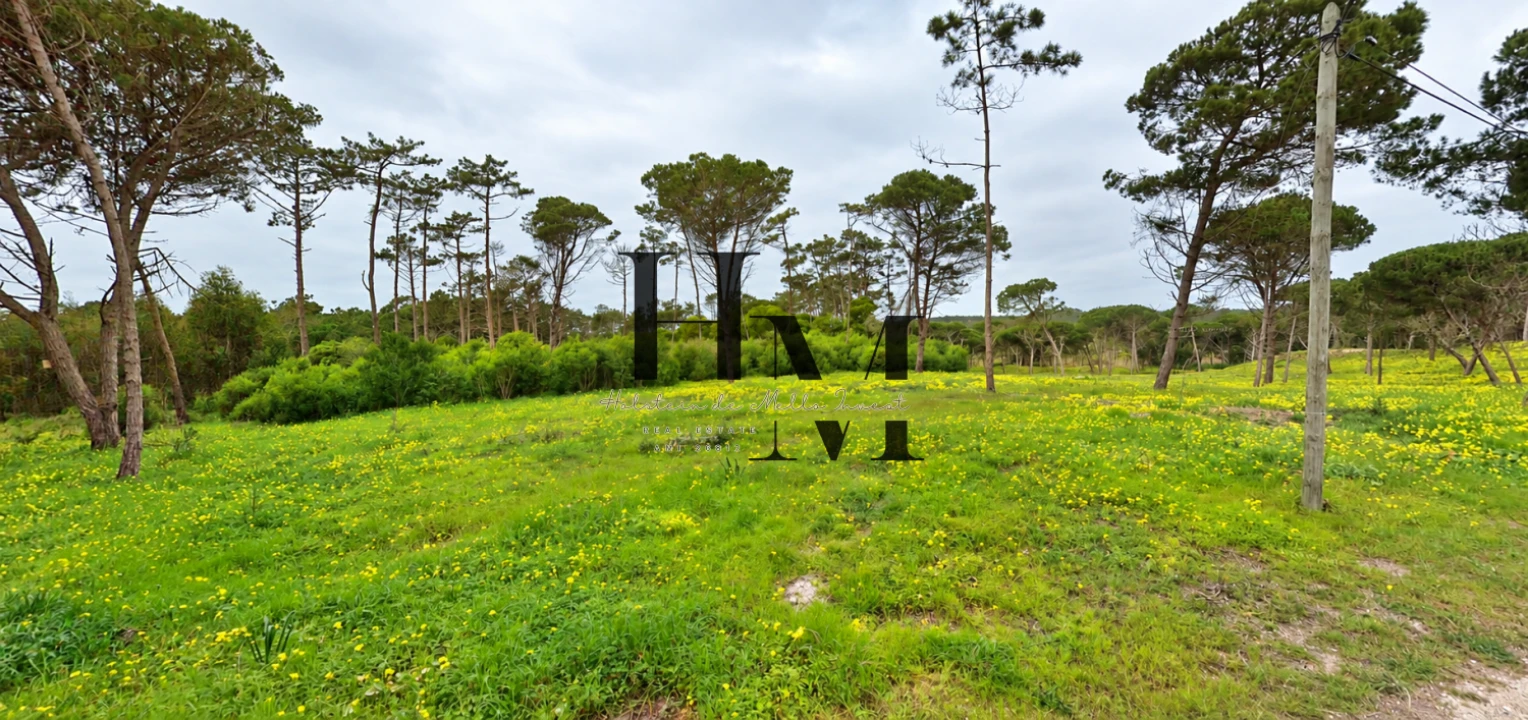 Terreno para Venda em Colares Foto 2