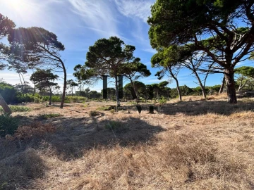 Terreno para Venda em Colares