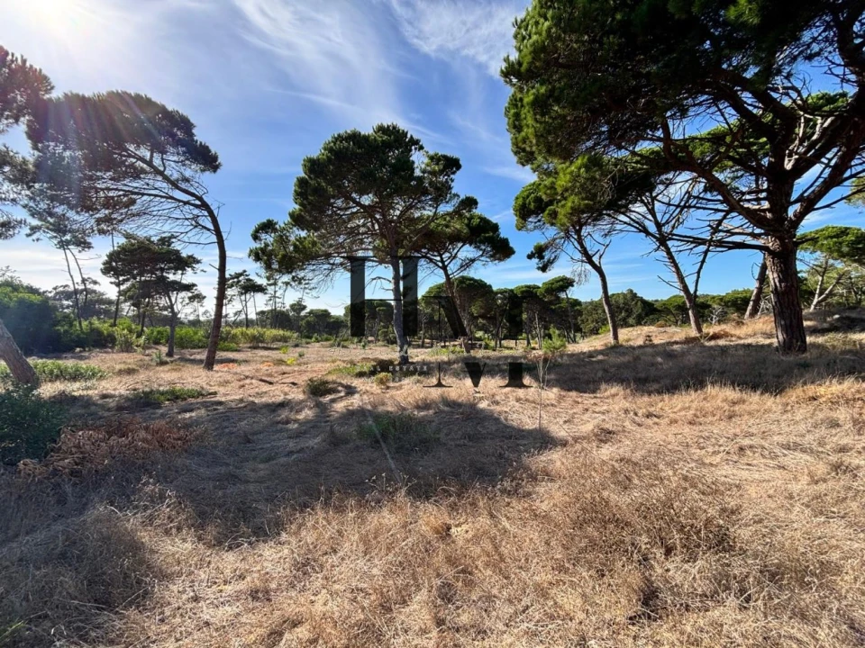 Terreno para Venda em Colares Foto 7