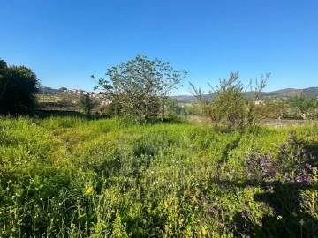 Moradia T4 para Venda em Coronado (São Romão e São Mamede)