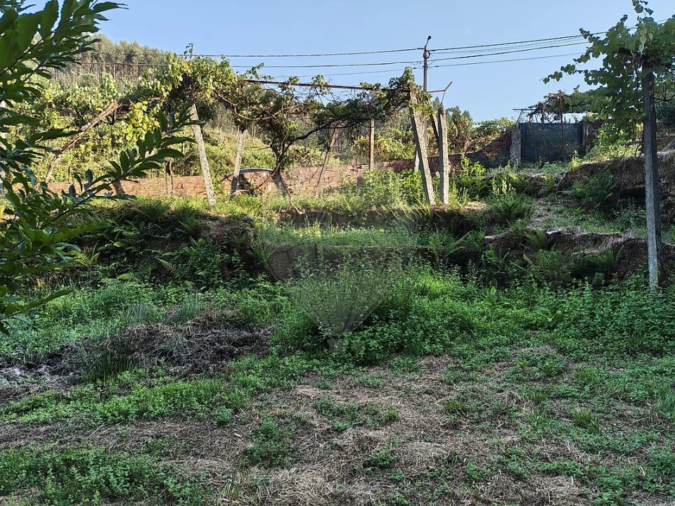 Moradia T2 para Venda em Macieira de Cambra Foto 7