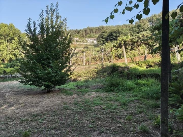 Moradia T2 para Venda em Macieira de Cambra