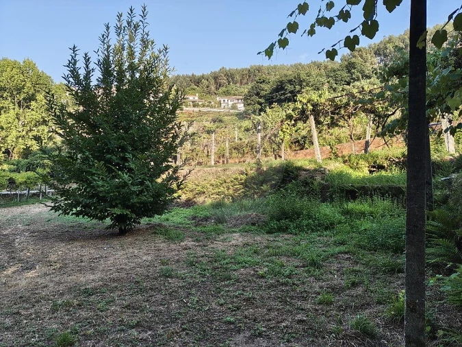 Moradia T2 para Venda em Macieira de Cambra Foto 14