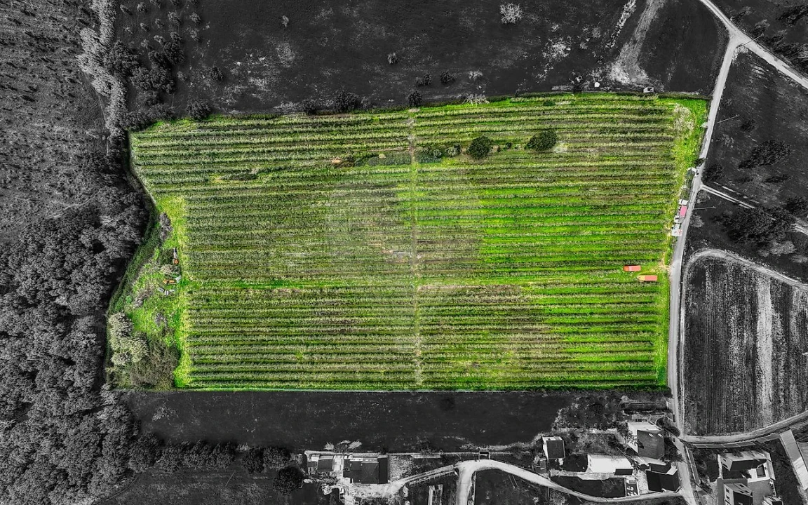 Terreno para Venda em Cartaxo e Vale da Pinta Foto 29