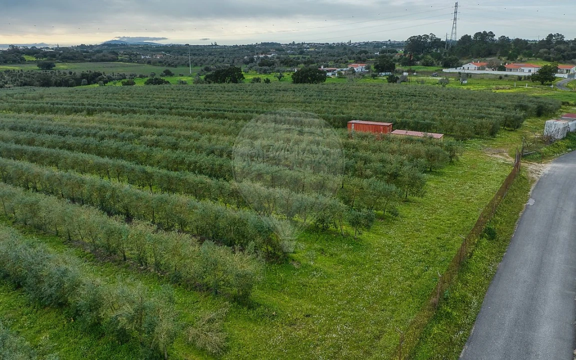 Terreno para Venda em Cartaxo e Vale da Pinta Foto 11