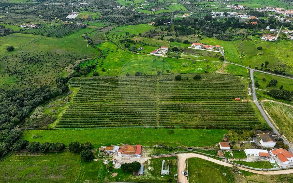Terreno para Venda em Cartaxo e Vale da Pinta Foto 5