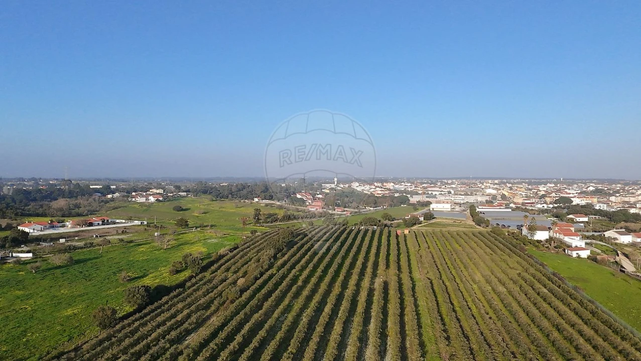 Terreno para Venda em Cartaxo e Vale da Pinta Foto 30