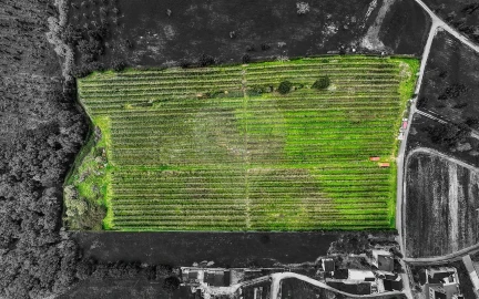 Terreno para Venda em Cartaxo e Vale da Pinta
