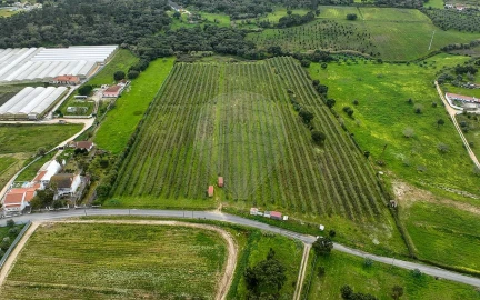 Terreno para Venda em Cartaxo e Vale da Pinta