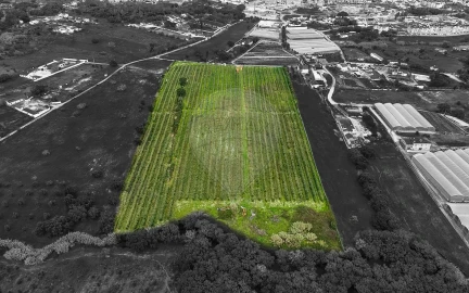 Terreno para Venda em Cartaxo e Vale da Pinta
