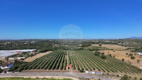 Terreno para Venda em Cartaxo e Vale da Pinta