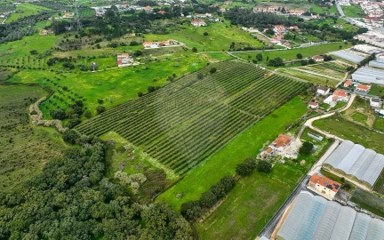 Terreno para Venda em Cartaxo e Vale da Pinta