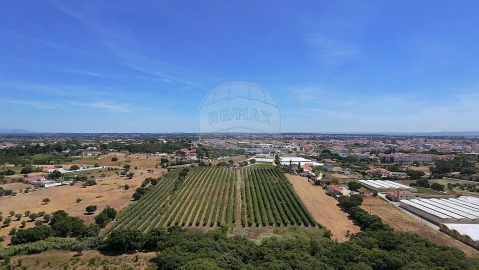 Terreno para Venda em Cartaxo e Vale da Pinta