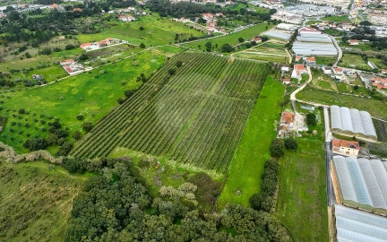 Terreno para Venda em Cartaxo e Vale da Pinta