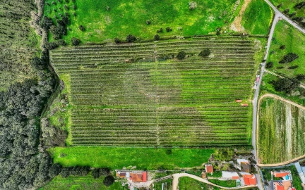 Terreno para Venda em Cartaxo e Vale da Pinta