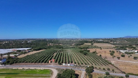 Terreno para Venda em Cartaxo e Vale da Pinta