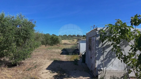 Terreno para Venda em Cartaxo e Vale da Pinta