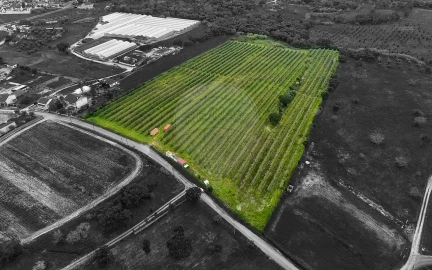 Terreno para Venda em Cartaxo e Vale da Pinta