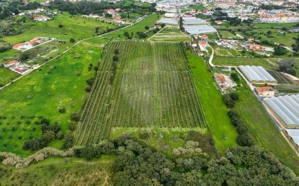 Terreno para Venda em Cartaxo e Vale da Pinta