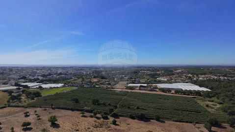 Terreno para Venda em Cartaxo e Vale da Pinta
