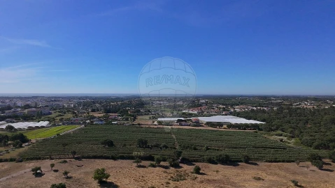 Terreno para Venda em Cartaxo e Vale da Pinta