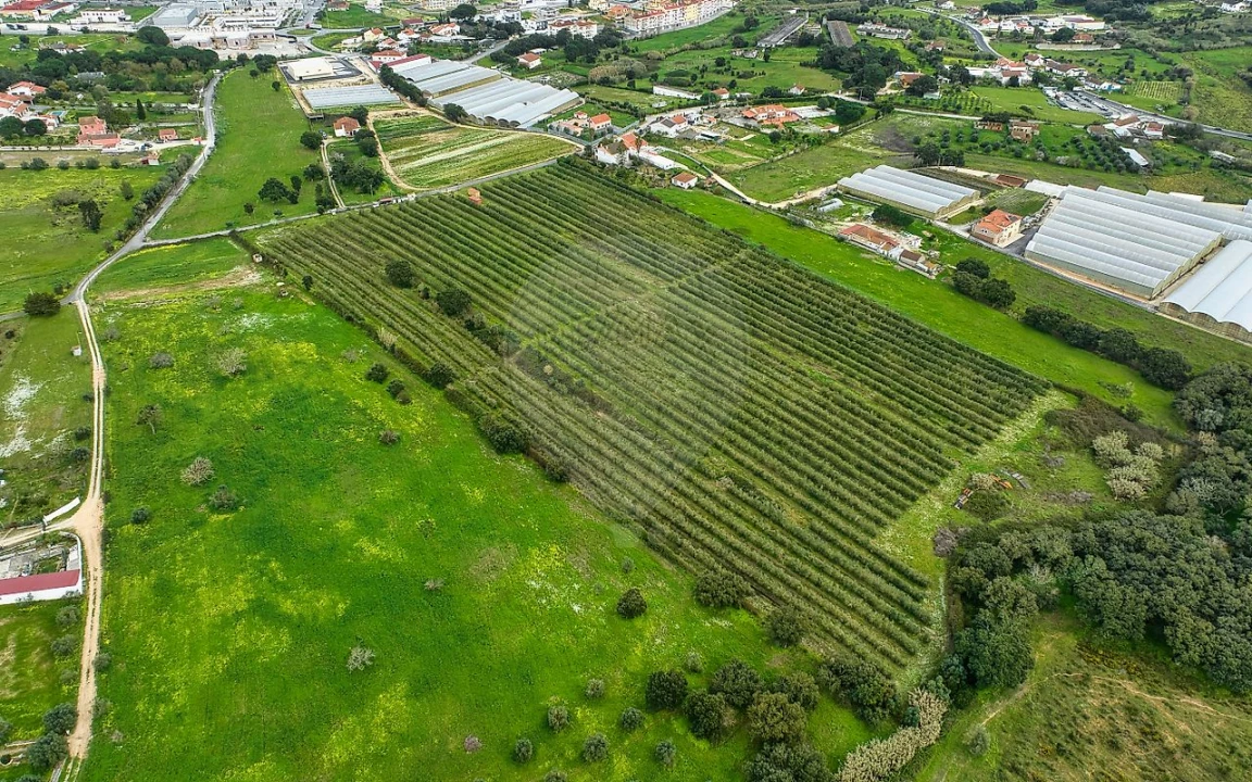 Terreno para Venda em Cartaxo e Vale da Pinta Foto 28