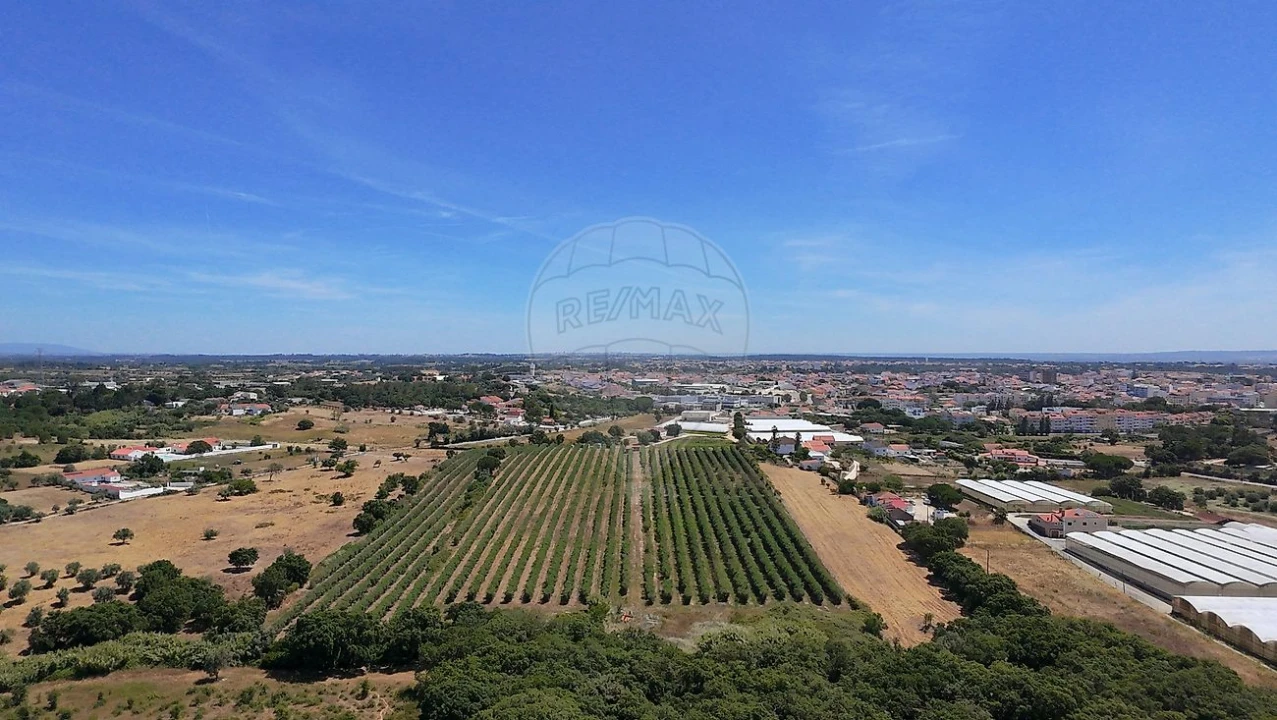 Terreno para Venda em Cartaxo e Vale da Pinta Foto 38